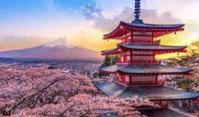 Japanese Language
